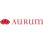 Aurum and VoiceNotes Financial Transcription